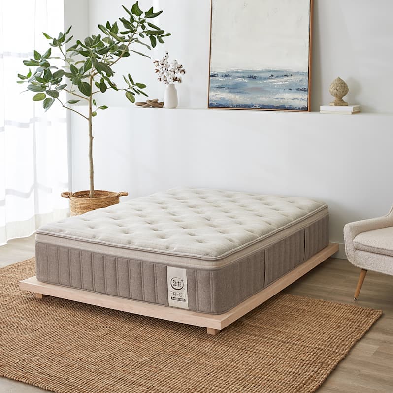 Serta Fresh Collective 15" Sycamore Pillow Top Medium Mattress - Queen - Gallery Image 1