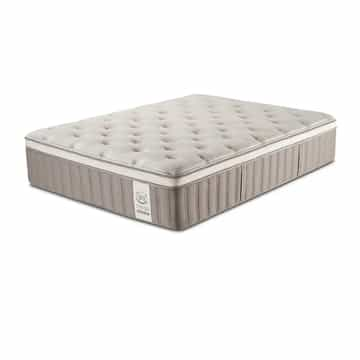 Serta Fresh Collective 15" Sycamore Pillow Top Medium Mattress - Queen - Gallery Image 5